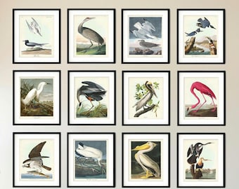 Sets of 12 (Giclée)