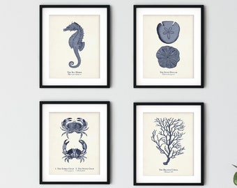 May include: Set of four framed blue and white illustrations of sea life, including a seahorse, a sand dollar, a crab, and a coral branch. Each illustration is labeled with the common name of the sea creature.