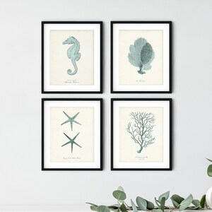 Coastal Print Set of 4 in Seafoam, Nautical Wall Art, Posters, Beach Art, Coastal Art, Corals, Seahorse Print, Starfish,  Shore House Art