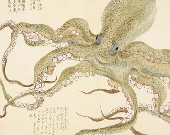 Octopus Print, Vintage Cephalopod Wall Art, Antique Natural History Sea Life Illustration, Coastal Wall Decor, Giclée Coastal Fine Art