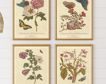 Butterfly & Botanical Wall Art, Vintage Floral Insect Prints, Cottagecore Gallery Wall Decor, Maria Sibylla Merian Print Set of 4