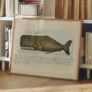 Ilustración científica de cachalote, lámina artística de ballena con escritura vintage, ilustración de vida marina, decoración costera para el hogar.