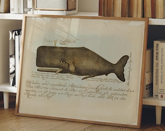Sperm Whale Art Print, Vintage Scientific Illustration