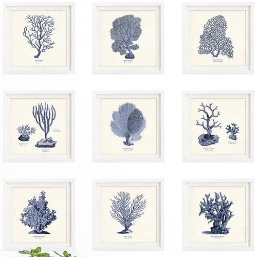 Blue Sea Coral Art Nautical Art Print Set Old Prints Ocean Etsy