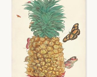 Pineapple Botanical Print, Dido Longwing Butterfly Art, Maria Sibylla Merian, Vintage Fruit Kitchen Wall Art