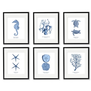 Coastal Print Set of 6 in Blue #13, Beach Art, Sea Life Prints, Nautical Art, Sand Dollar, Starfish, Coral, Seahorse, Sea Turtles & Octopus