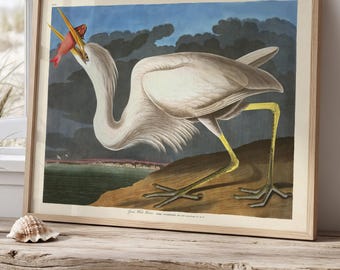 Great White Heron Print, Audubon Bird Wall Art, Vintage Coastal Decor, Beach House Artwork, Florida Heron Wall Decor