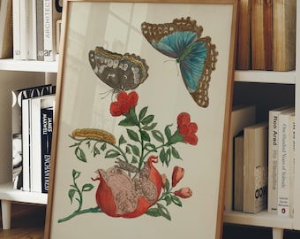 Pomegranate Botanical Print, Blue Morpho Butterfly Wall Art, Maria Sibylla Merian, Vintage Fruit and Insect Decor