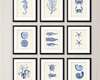 Vintage Nautical Sea Life Print Set of 9: Coastal Nursery Wall Art