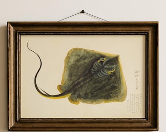 Stingray Print, Japanese Sea Life Wall Art, Vintage Ray Fish Illustration, Marine Biology Art, Giclée Fine Art Coastal Wall Decor