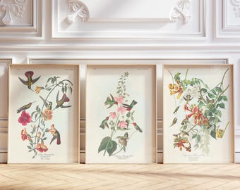 May include: Three framed vertical art prints featuring detailed botanical and hummingbird illustrations. Each print displays colorful birds interacting with various flowers, set against a cream background with small text at the bottom.
