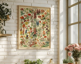 Vintage French Encyclopedia Flowers Print, Botanical Illustration