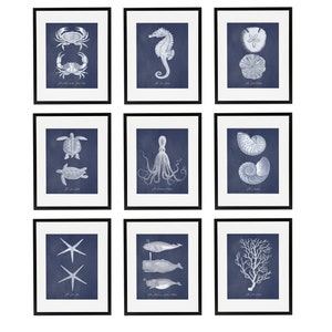 Nautical Print Set of 9, Navy and White Coastal Home Decor, Sea Life Prints, Vintage Style Beach Wall Art, Coastal Chic