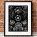 see more listings in the Ernst Haeckel section