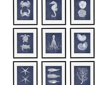 Nautical Print Set of 9, Original Artwork, White and Navy Coastal Home Decor, Sea Life Prints, Vintage Style Beach Wall Art, Summer Decor