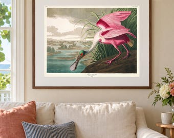 May include: A framed vintage-style print featuring a Roseate Spoonbill with vibrant pink plumage, a long flat bill, and a green head, standing near water and tall grasses. The artwork includes the text Roseate Spoonbill at the bottom centre.
