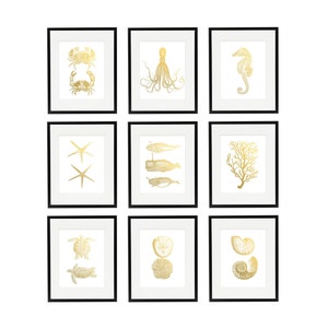 Sea Life Print Set in Metallic Foil, Gold Foil Nautical Prints, Coastal Print Set, Beach Home Decor