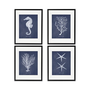 Coastal Print Set, Sea Life Print Set of 4 in White and Navy Blue, Art for Man, Beach Home Decor, Coastal Art, Beach Wall Art, Nautical