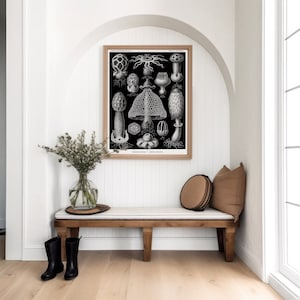 May include: A framed black and white botanical print featuring detailed illustrations of various mushrooms and fungi species. The artwork is displayed in a light wood frame and includes scientific text at the top and bottom edges.