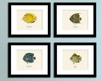 Colorful Tropical Fish Print Set of 4, Beach Home Decor, Beach Art, Coastal Living, Shore House Wall Art, Wall Art for Him