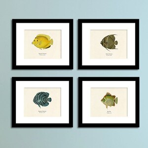 Colorful Tropical Fish Print Set of 4, Beach Home Decor, Beach Art, Coastal Living, Shore House Wall Art, Wall Art for Him