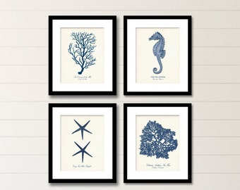 Nautical Wall Art Prints, Navy Coastal Decor Set of 4