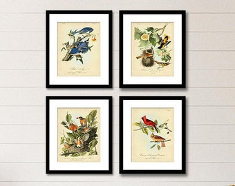 Audubon Bird Print Set, Audubon Birds of America, Bird and Botanical Posters, Cardinal, Blue Jay, Robin, Oriole Illustrations, Bird Art