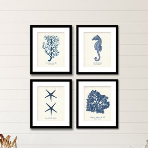 Nautical Print Set of 4 in Navy Blue, Coastal Wall Art, Coral Seahorse & Starfish Art, Wall Decor, Beach House Wall Art, Coastal Art