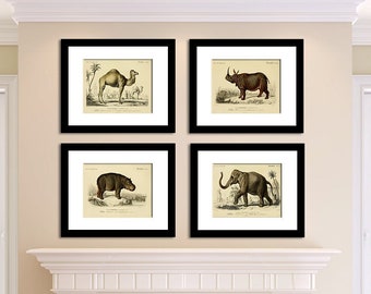 Animal Print Set of 4, Savanna Animal Art, Safari Animal Posters, Natural History Art, Camel Print, Hippo Print, Rhino Print, Elephant Print