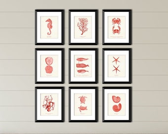 Sea Life Art Print Set in Coral Color, Beach Home Decor, Coastal Wall Art, Mother's Day Gift for Her