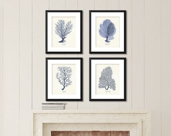 Sea Coral Art Print Set of 4 in Indigo Blue, Coastal Wall Art, Vintage Style Sea Life Posters, Gift for Mom. 300 gsm Archival Paper