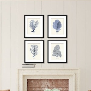 Vintage Sea Coral Art Print Set, Coastal Wall Art, Sea Life Illustrations, Nautical Decor, Beach House Art