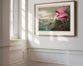 Roseate Spoonbill Print, Audubon Birds of America, Vintage Bird, Roseate Spoonbill Illustration Shore House Art, Sea Bird, Coastal Bird