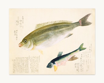 Japanese Fish Print, Edo-Period Natural History Art, Vintage Kanji Fish Print, Lake House Decor, Natural History Wall Art