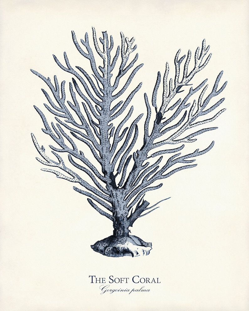 Navy Blue Sea Life Art Print Set: Coastal Home Decor, Nautical Gift image 4
