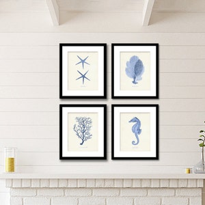 Sea Life Print Set of 4, Nautical Art, Beach Decor Coastal Home Decor, Shore House Wall Art, Beach Art, Blue Sea Creature Prints