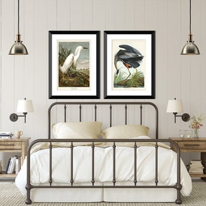 Juego de 2 impresiones vintage de garza azul y garceta blanca, arte de pared para pareja, impresiones de aves de Audubon, pósteres, pájaros, arte para dormitorio, regalo para el hogar