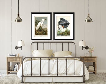 Great Blue Heron & White Egret Vintage Bird Print Set of 2, Wall Art for Couple, Audubon Bird Prints, Posters, Birds, Bedroom Art, Home Gift