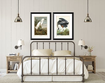 Wall Art for Couple, Vintage Bird Print Set of 2, Audubon Bird Prints, Great Blue Heron & White Egret Posters, Birds, Bedroom Art, Home Gift