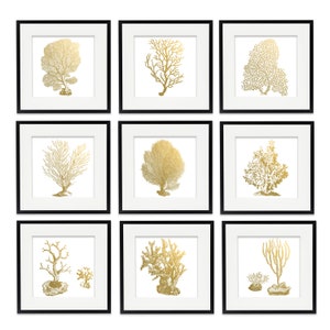 Coral Prints Gold Foil Print Set of 9, Gold Foil Coastal Decor, Nautical Art, Gold Corals, Gold Art, Beach Art, Metallic, Sea Life Wall Art