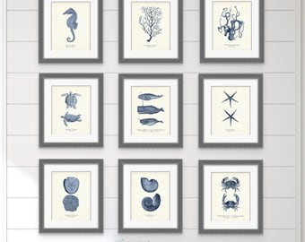 Sea Life Illustrations Set of 9, Vintage Nautical Wall Art, Coastal Wall Art, Seahorse, Corals, Seashells, Starfish, Whales, Turtles, Crabs
