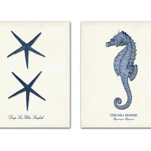 Nautical Art Print Set of 2, Navy Blue Coastal Prints, Beach Home Decor, Starfish Print, Seahorse Print, Sea Life Wall Art, Sea Creatures