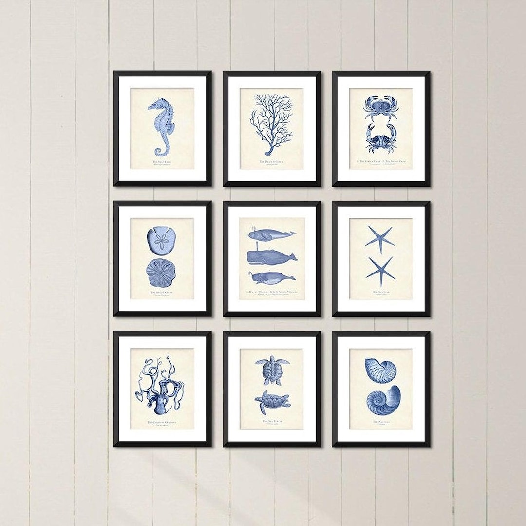 Vintage Nautical Sea Life Print Set of 9: Coastal Nursery Wall Art - Etsy