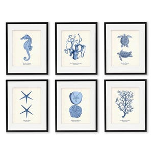 Sea Life Art Print Set: Serene Blue Coastal Home Decor