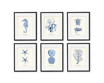 Sea Life Art Print Set: Serene Blue Coastal Home Decor