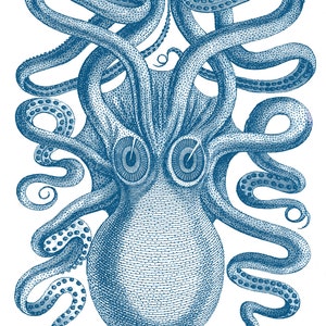 Octopus Art Print, Octopus Poster, Blue Wall Art, Nautical Art, Beach Home Decor, Kraken Print, Octopus Drawing, Nautical Wall Decor