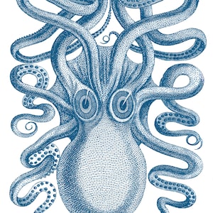 Vintage Octopus Wall Art in Blue, Nautical Art, Beach Home Decor, Kraken Print, Giant Cephalopod Poster, Custom Color Available