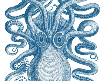 Octopus Art Print, Octopus Poster, Blue Wall Art, Nautical Art, Beach Home Decor, Kraken Print, Octopus Drawing, Nautical Wall Decor