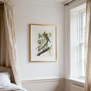 Brown Pelican Art Print, Audubon Birds of America, Coastal Bird Print, Beach House Wall Art image 4