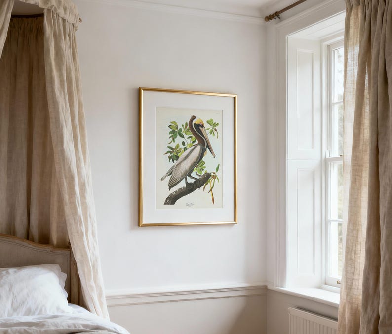 Brown Pelican Art Print, Audubon Birds of America, Coastal Bird Print, Beach House Wall Art image 4